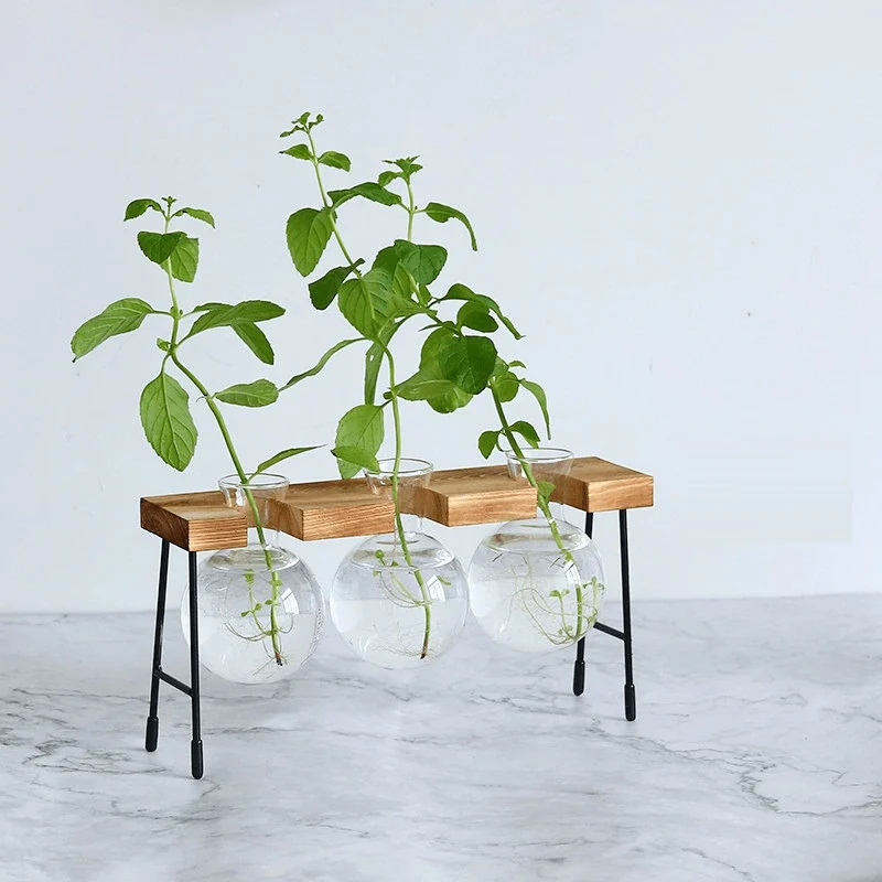 Glass Vase Hydroponic Plant Wooden Frame Coffee Shop Decor Vase Terrarium Plants Home Bonsai Decoration Propagation