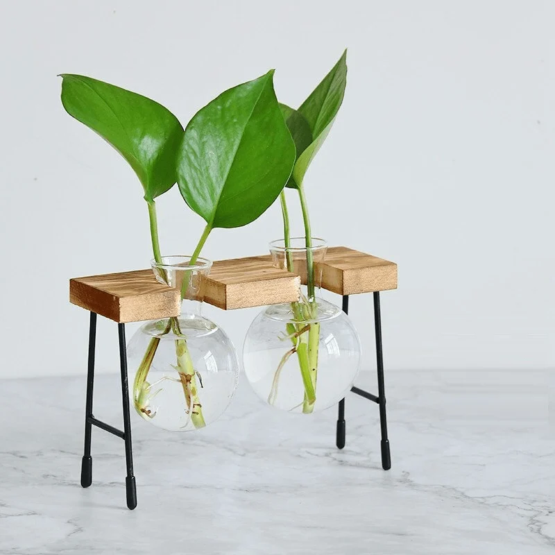 Glass Vase Hydroponic Plant Wooden Frame Coffee Shop Decor Vase Terrarium Plants Home Bonsai Decoration Propagation 1