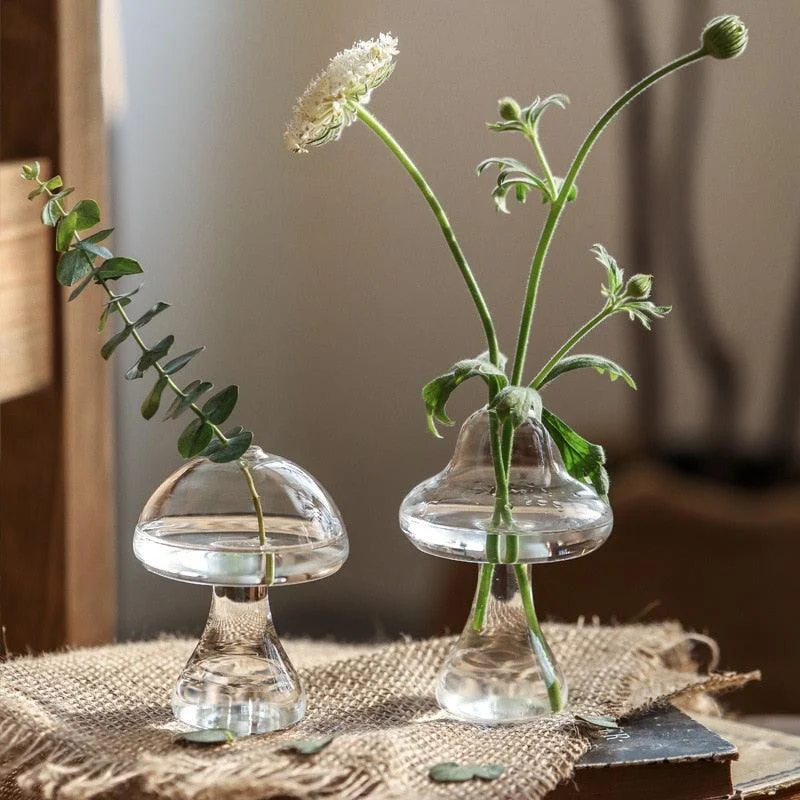 Glass Propagation Mushrooms -