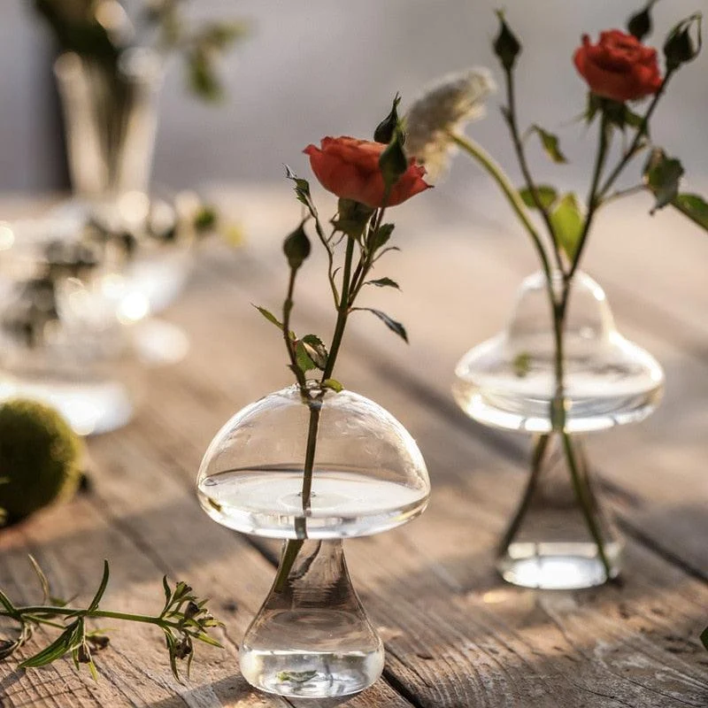 Glass Propagation Mushrooms -