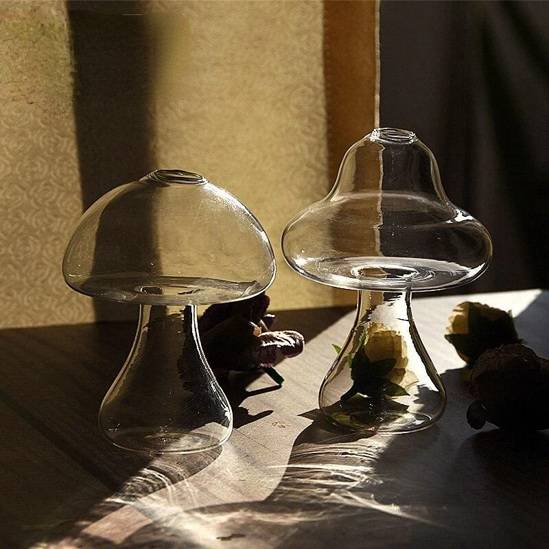 Glass_Propagation_Mushrooms_-_-4195519 Glass Propagation Mushrooms -