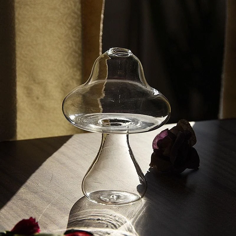 Glass_Propagation_Mushrooms_-_-4195523 Glass Propagation Mushrooms -