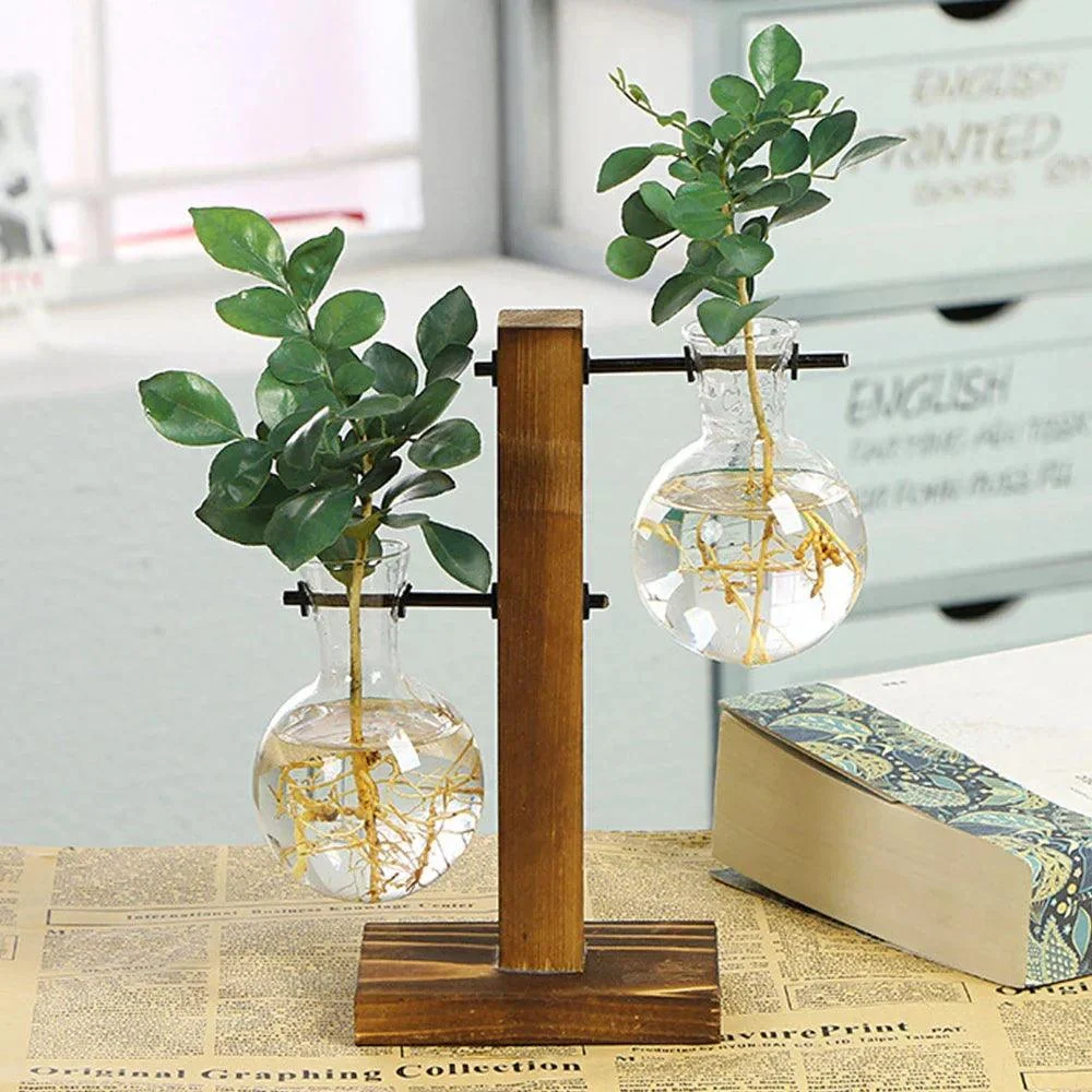 Glass_Vase_-_-4195626 Glass Vase -