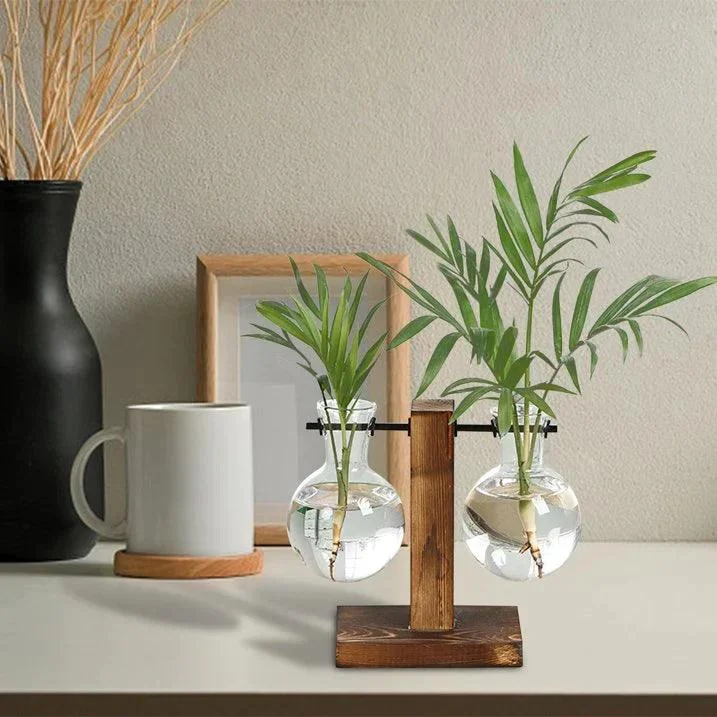 Glass_Vase_-_-4195629 Glass Vase -