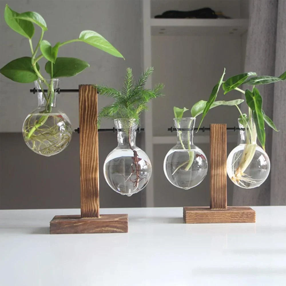 Glass_Vase_-_-4195635 Glass Vase -