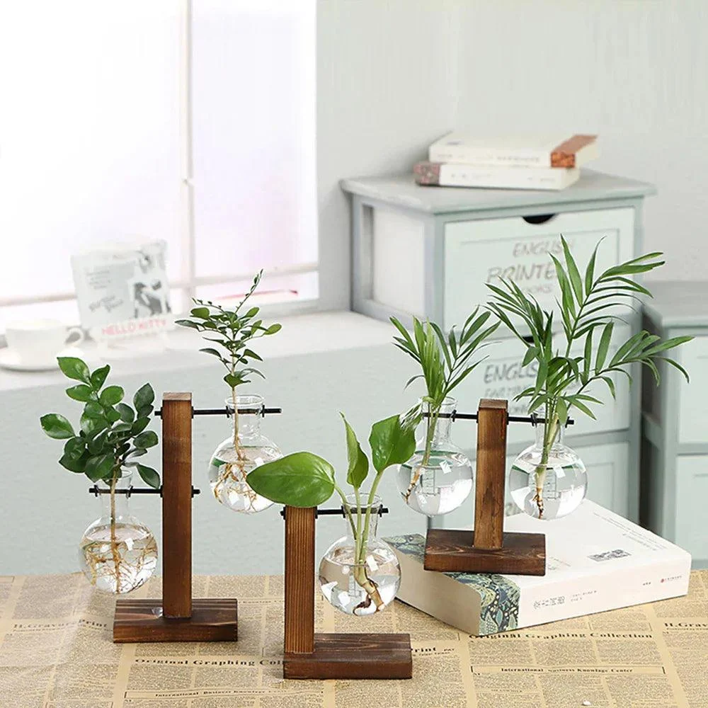 Glass_Vase_-_-4195643 Glass Vase -