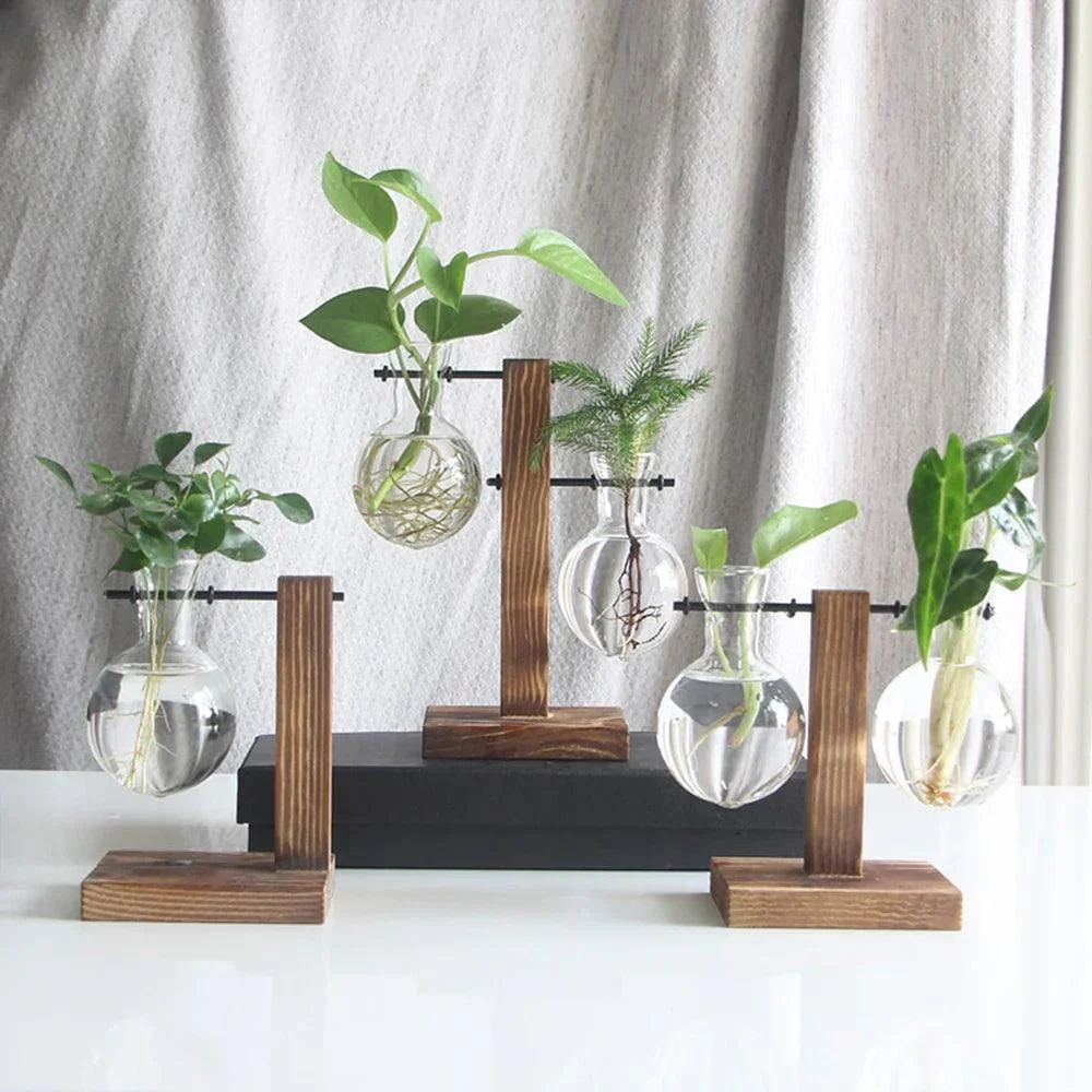 Glass_Vase_-_-4195648 Glass Vase -