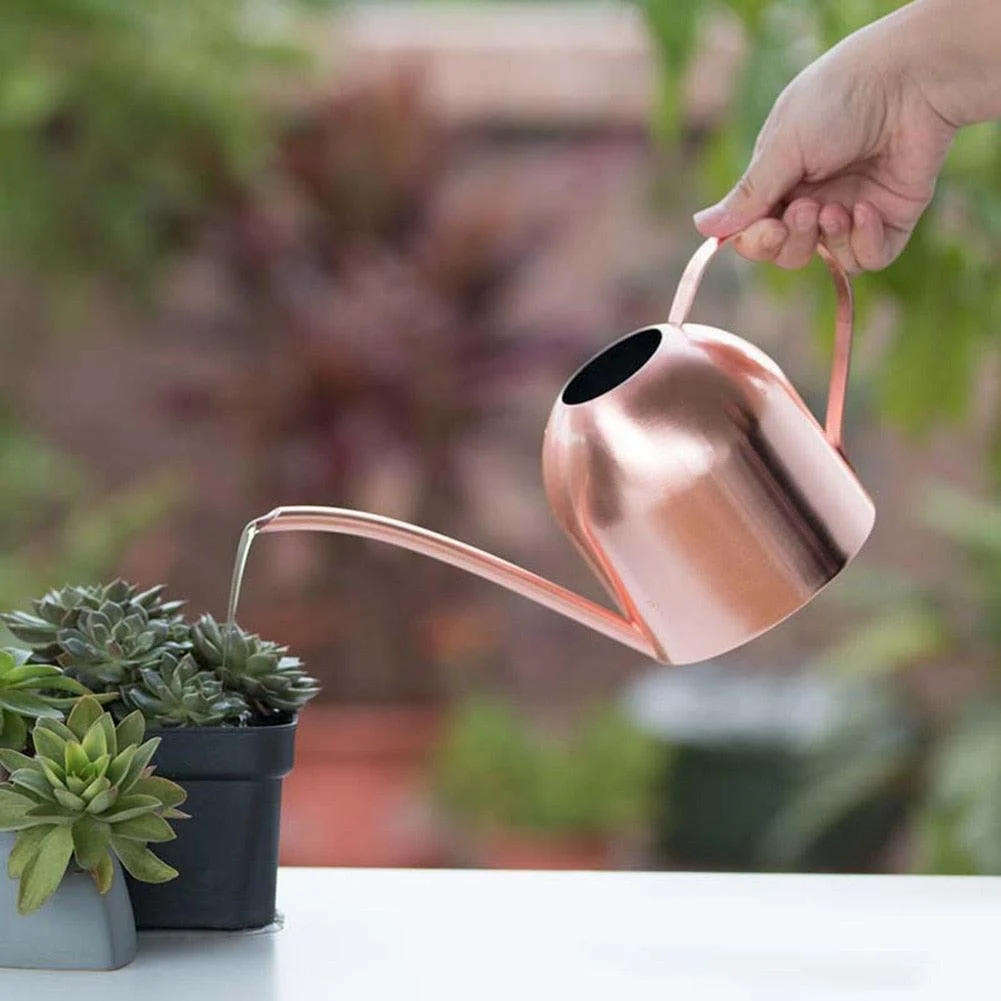 Gold_Stainless_Steel_Watering_Can_500ML_-_-4196565 Gold Stainless Steel Watering Can 500ML -