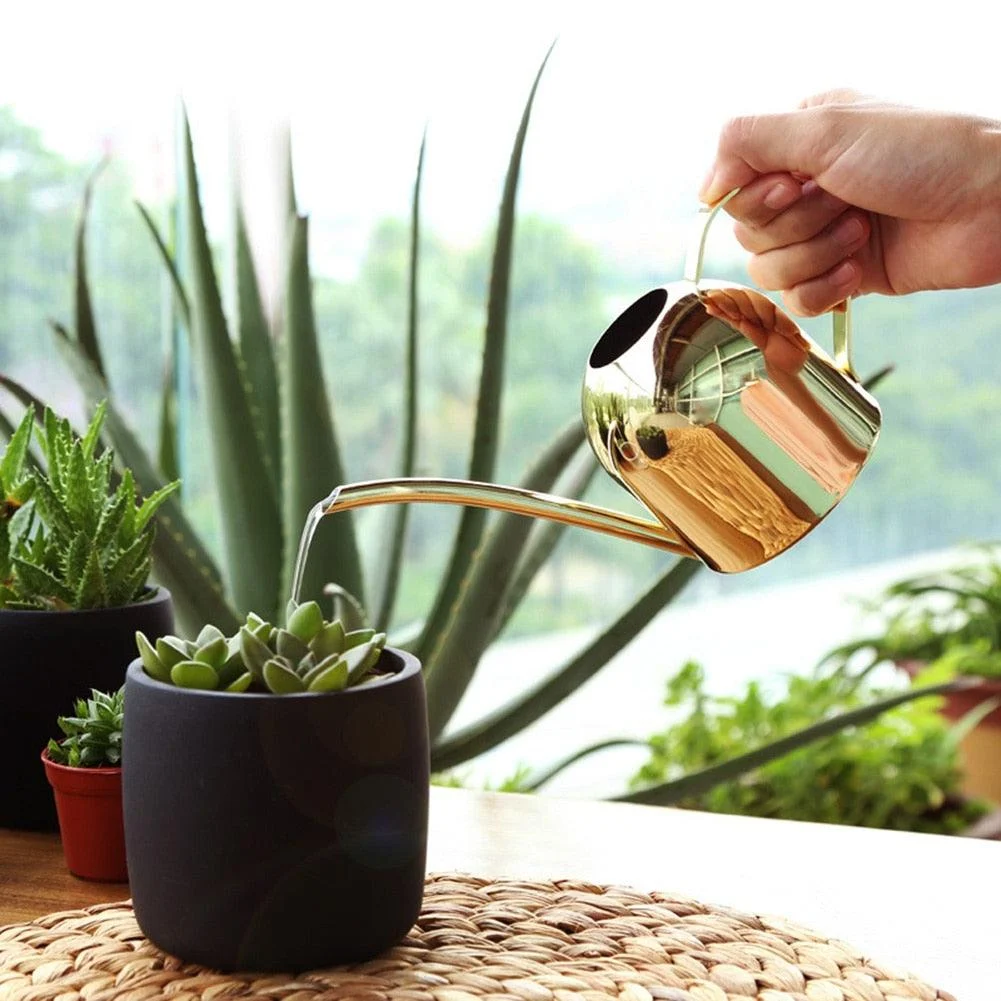 Gold_Stainless_Steel_Watering_Can_500ML_-_-4196568 Gold Stainless Steel Watering Can 500ML -