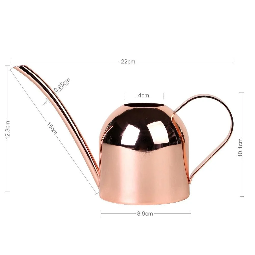 Gold_Stainless_Steel_Watering_Can_500ML_-_-4196577 Gold Stainless Steel Watering Can 500ML -