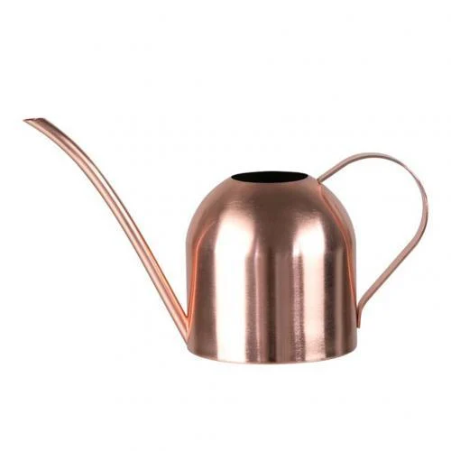 Gold_Stainless_Steel_Watering_Can_500ML_-_-4196583 Gold Stainless Steel Watering Can 500ML -