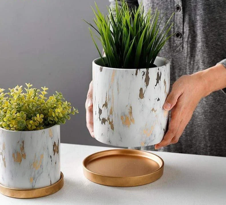 Golden Marble Pattern Succulents Pot Plant Pot With Tray Ceramic Cylindrical Shape Flower Pot Home Christmas 033aafd8 6113 439b 9989 824c2190684f