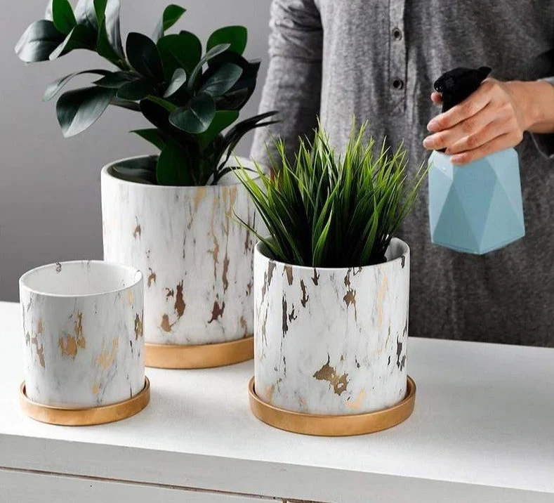 Golden Marble Pattern Succulents Pot Plant Pot With Tray Ceramic Cylindrical Shape Flower Pot Home Christmas E03a4860 984a 4517 Ab58 5298cf7d3ce3