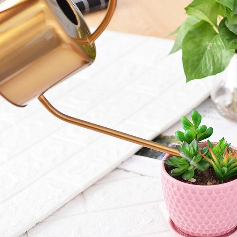 Golden Stainless Steel Watering Can -