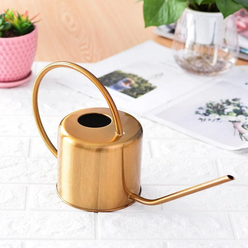 Golden Stainless Steel Watering Can -