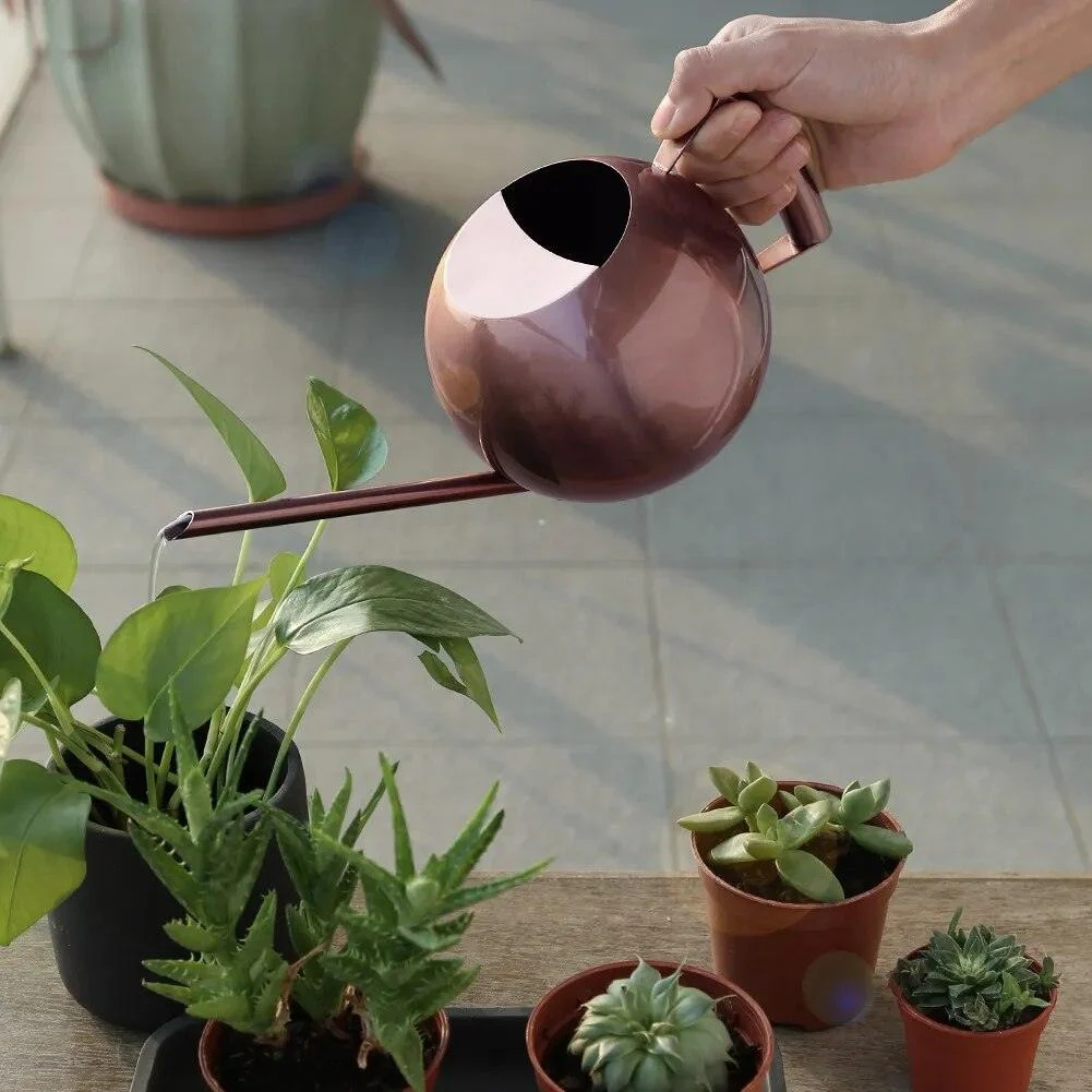 Gooseneck_Stainless_Steel_Watering_Can_-_-4197381 Gooseneck Stainless Steel Watering Can -