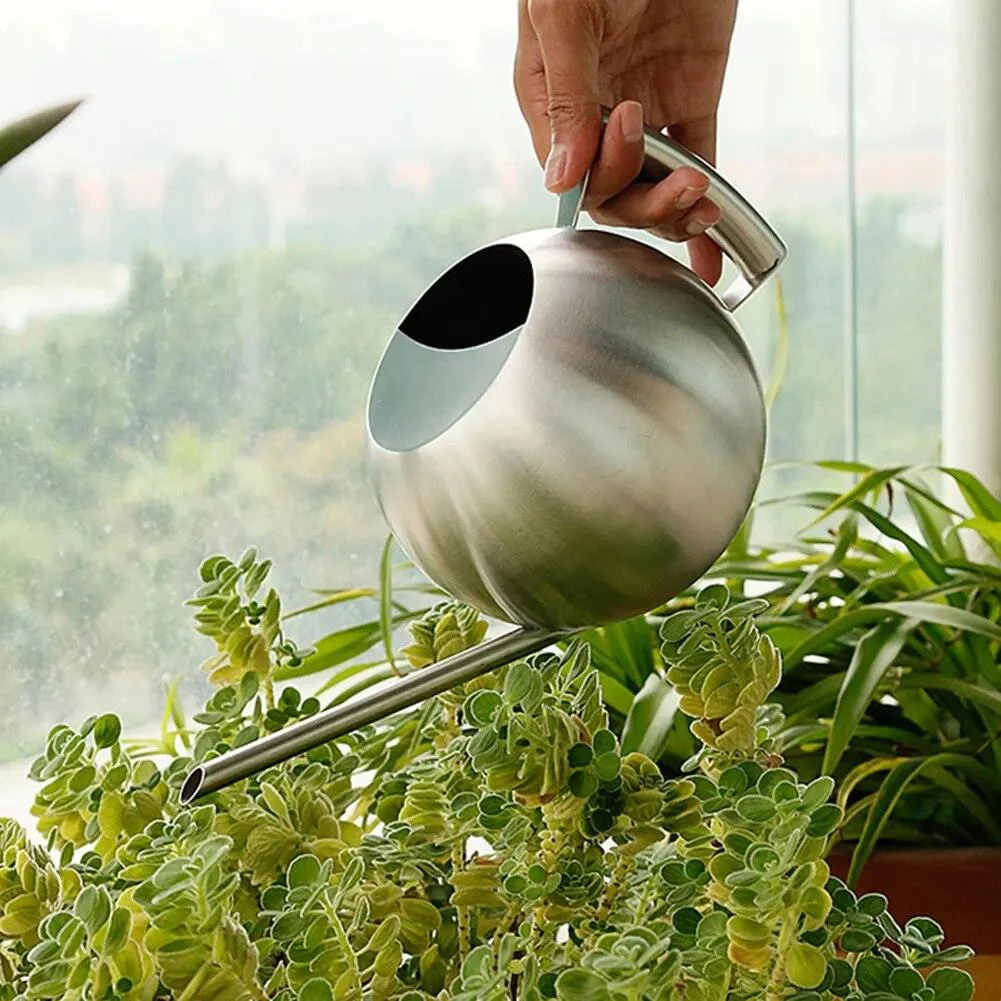 Gooseneck_Stainless_Steel_Watering_Can_-_-4197384 Gooseneck Stainless Steel Watering Can -