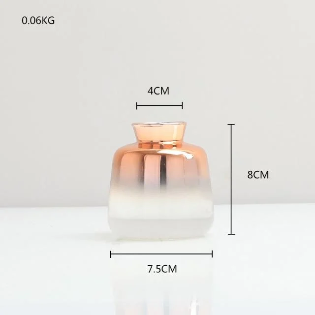 Gradient Glass Vase - - #tag1#