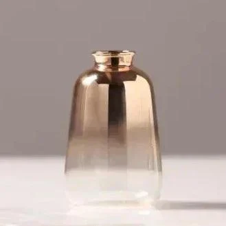 Gradient Vases -