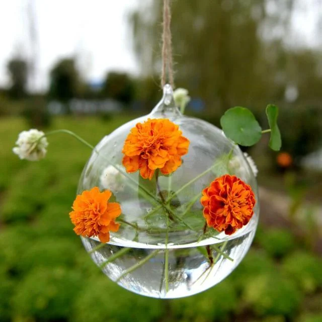 Grahaniya-DecorativeHangingBallflowerVase-Homeko3 Grahaniya - Decorative Hanging Ball flower Vase - Homeko