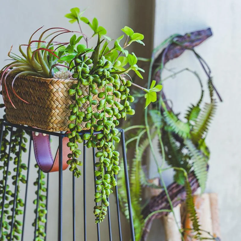 GreenDecorativeSucculentPlants-Homeko3 Green Decorative Succulent Plants - Homeko