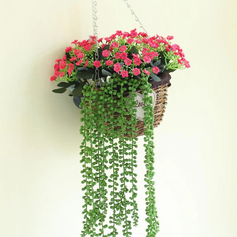 GreenDecorativeSucculentPlants-Homeko4 Green Decorative Succulent Plants - Homeko
