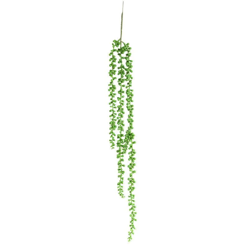 GreenDecorativeSucculentPlants-Homeko5 Green Decorative Succulent Plants - Homeko