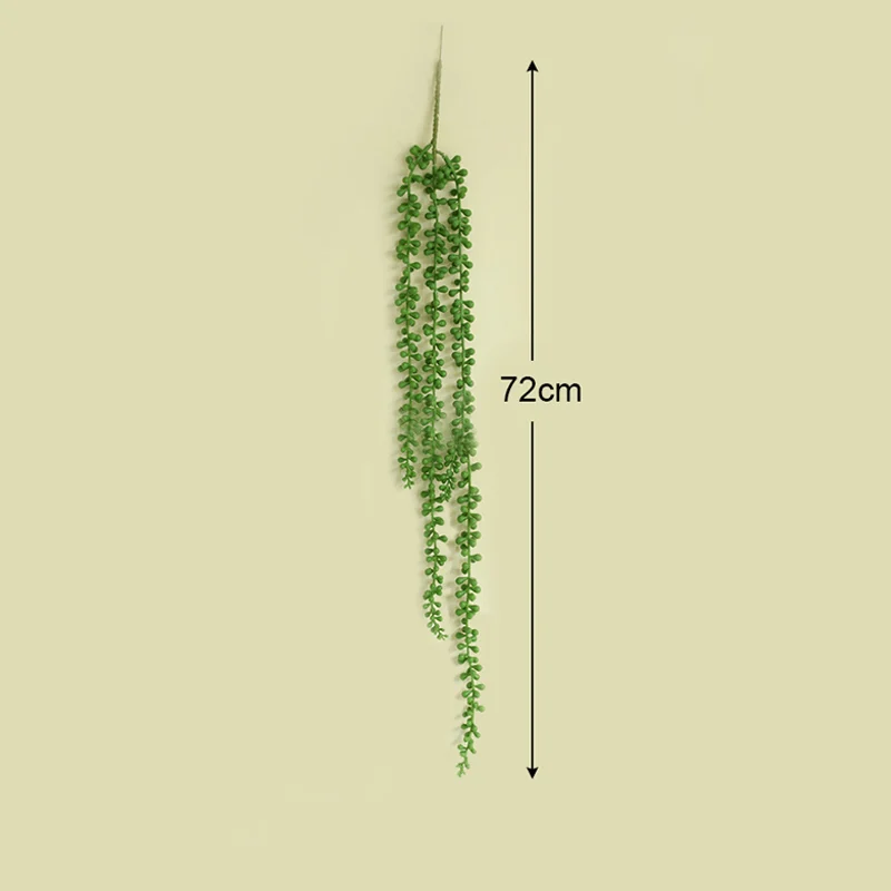 GreenDecorativeSucculentPlants-Homeko6 Green Decorative Succulent Plants - Homeko