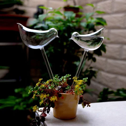 Self Watering Bird