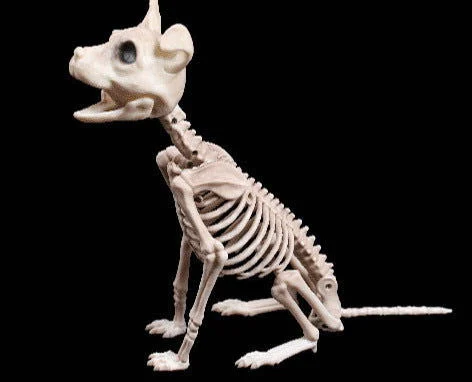 Halloween_Decoration_Artificial_Animal_Skeleton_-_-_tag1_-4250380 Halloween Decoration Artificial Animal Skeleton - - #tag1#