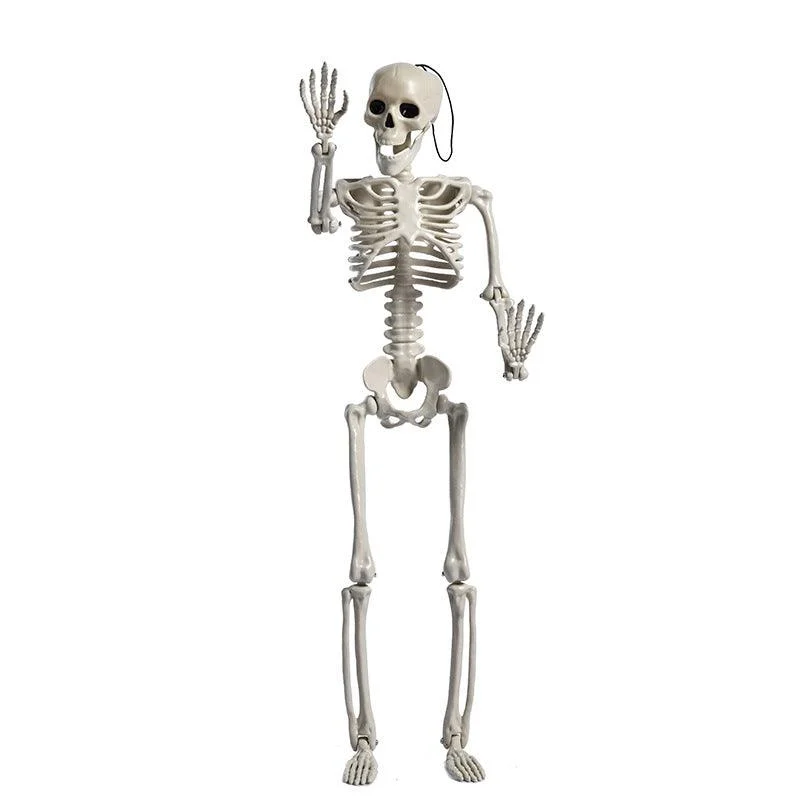 Halloween Plastic Skull Skeleton Model Scene Arrangement -  - #tag1#