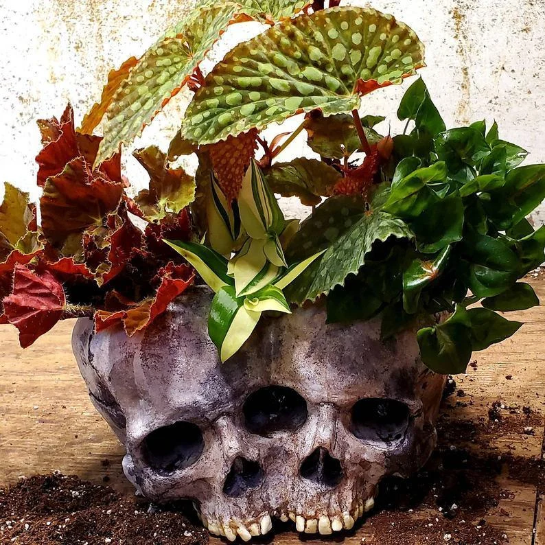 Halloween_Skull_Resin_Flower_Pot_Outdoor_Study_-_-_tag1_-4264649 Halloween Skull Resin Flower Pot Outdoor Study - - #tag1#