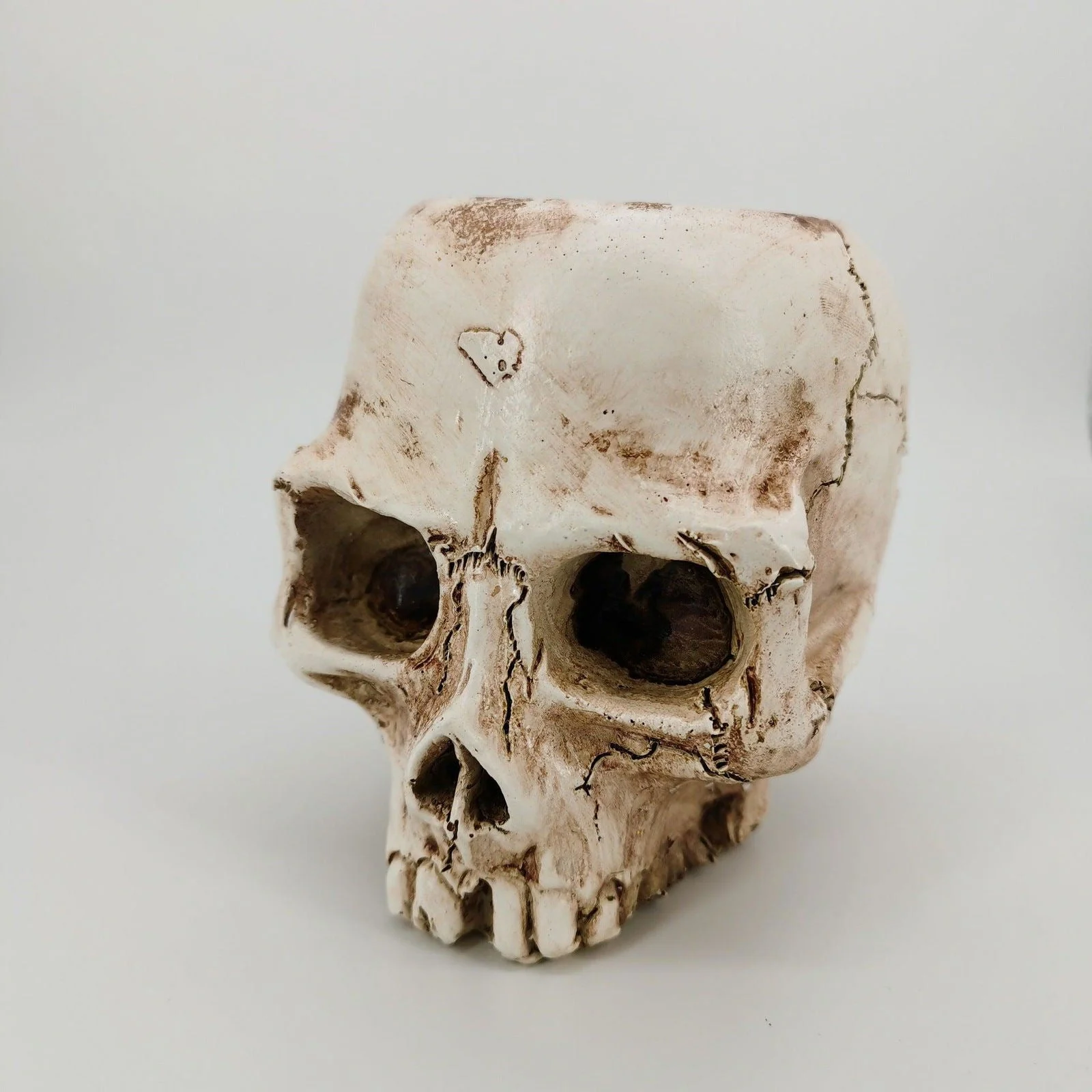 Halloween_Skull_Resin_Flower_Pot_Outdoor_Study_-_-_tag1_-4264663 Halloween Skull Resin Flower Pot Outdoor Study - - #tag1#
