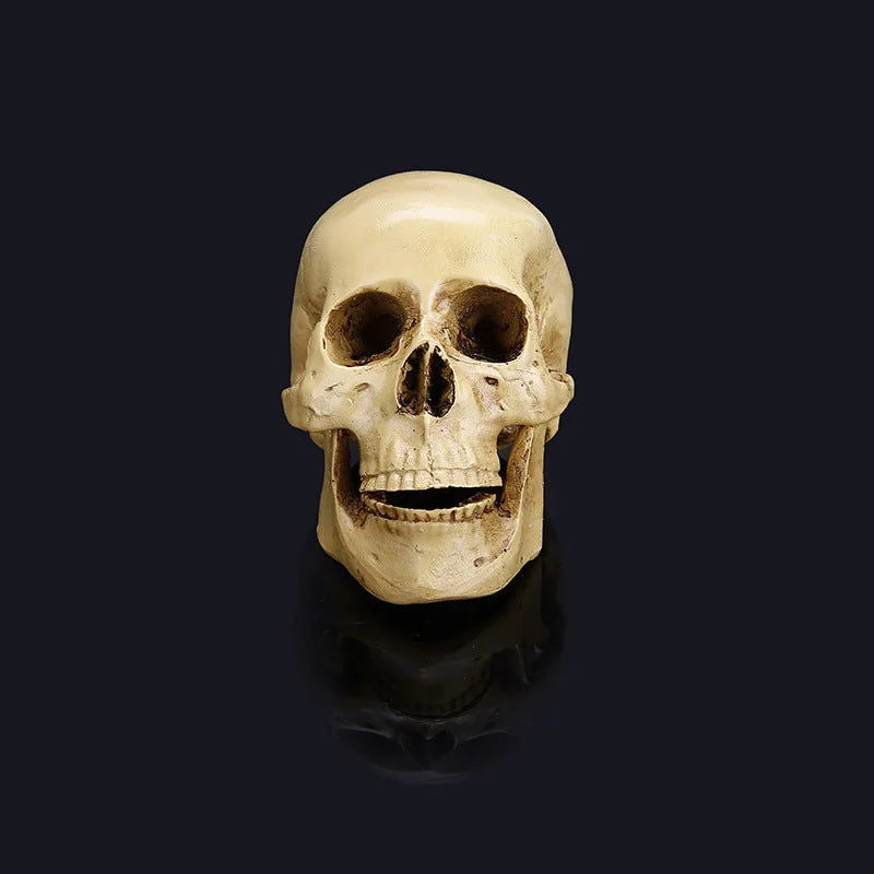 Halloween_skull_model_-_-_tag1_-4264580 Halloween skull model - - #tag1#