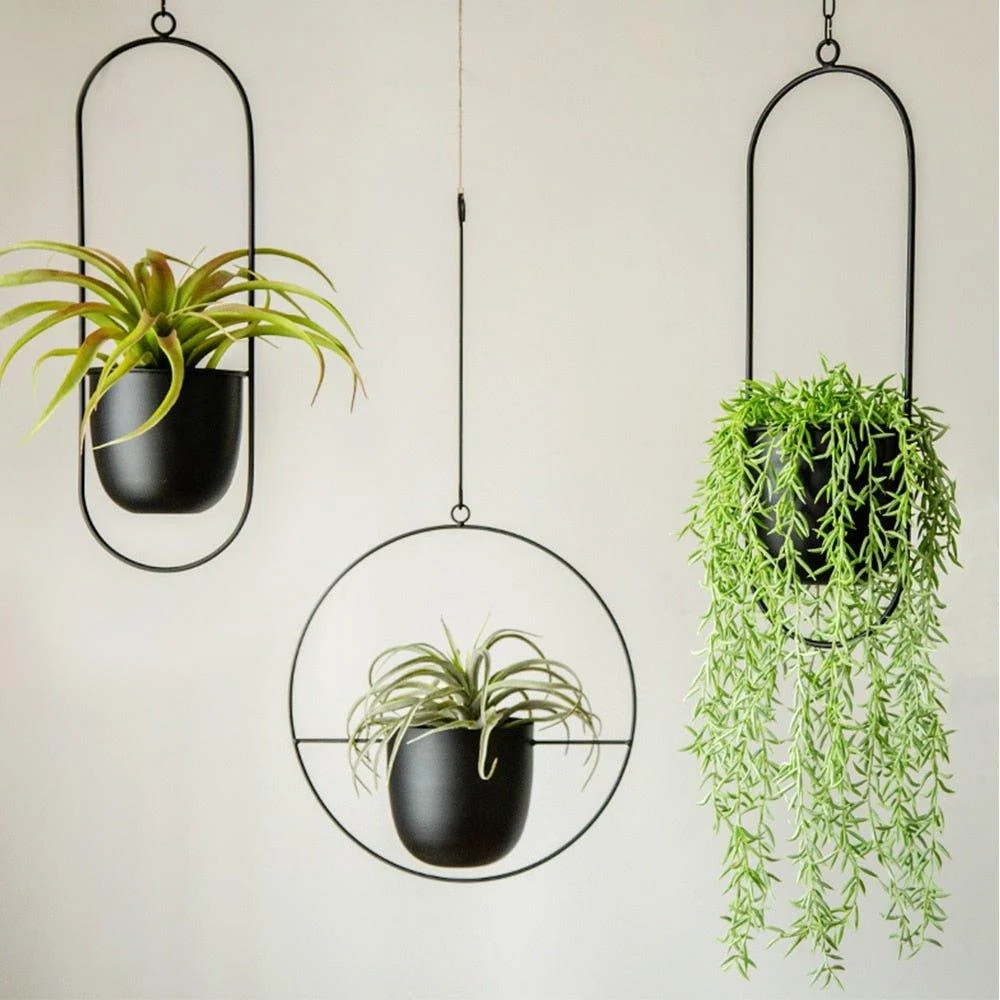 Halo_Hanging_Plant_Pot_-_-4198949 Halo Hanging Plant Pot -
