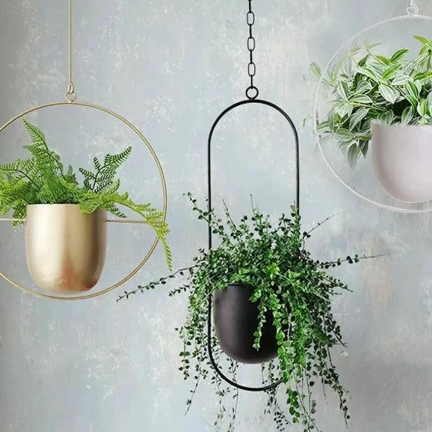 Halo_Hanging_Plant_Pot_-_-4198954 Halo Hanging Plant Pot -