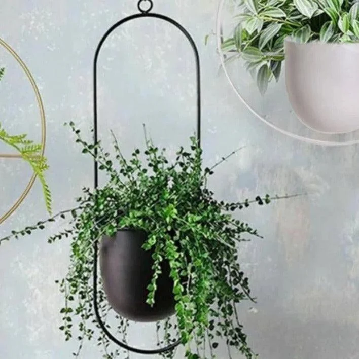 Halo_Hanging_Plant_Pot_-_-4198969 Halo Hanging Plant Pot -