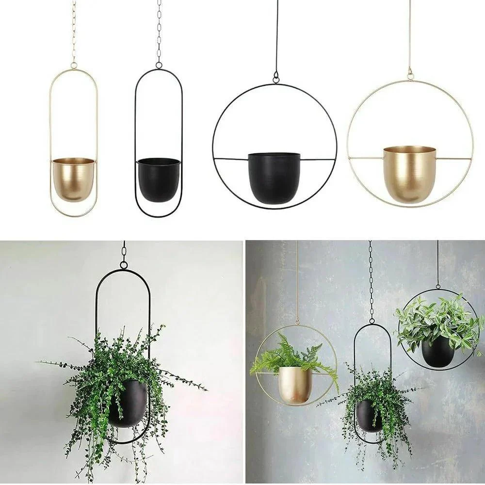 Halo_Hanging_Plant_Pot_-_-4198979 Halo Hanging Plant Pot -