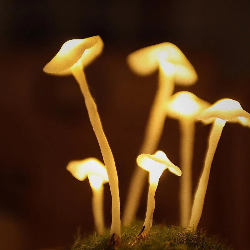 Handmade_Mushroom_Led_Night_Lamp_-_-4200400 Handmade Mushroom Led Night Lamp -