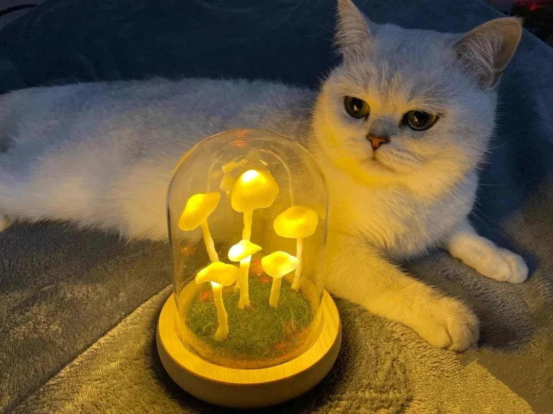 Handmade_Mushroom_Led_Night_Lamp_-_-4200414 Handmade Mushroom Led Night Lamp -
