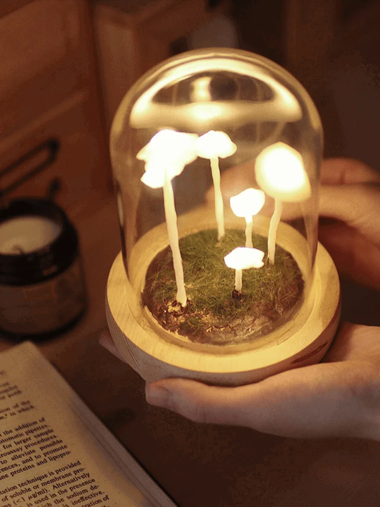 Handmade_Mushroom_Led_Night_Lamp_-_-4200421 Handmade Mushroom Led Night Lamp -