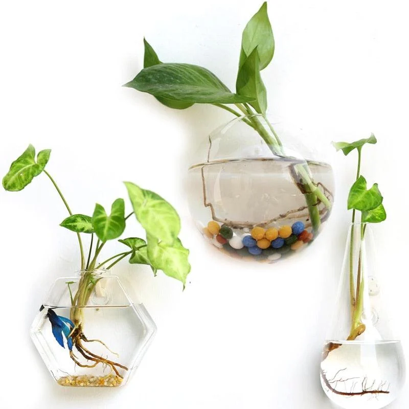 HangingGlassPlanterTerrarium-Homeko3 Hanging Glass Planter Terrarium - Homeko
