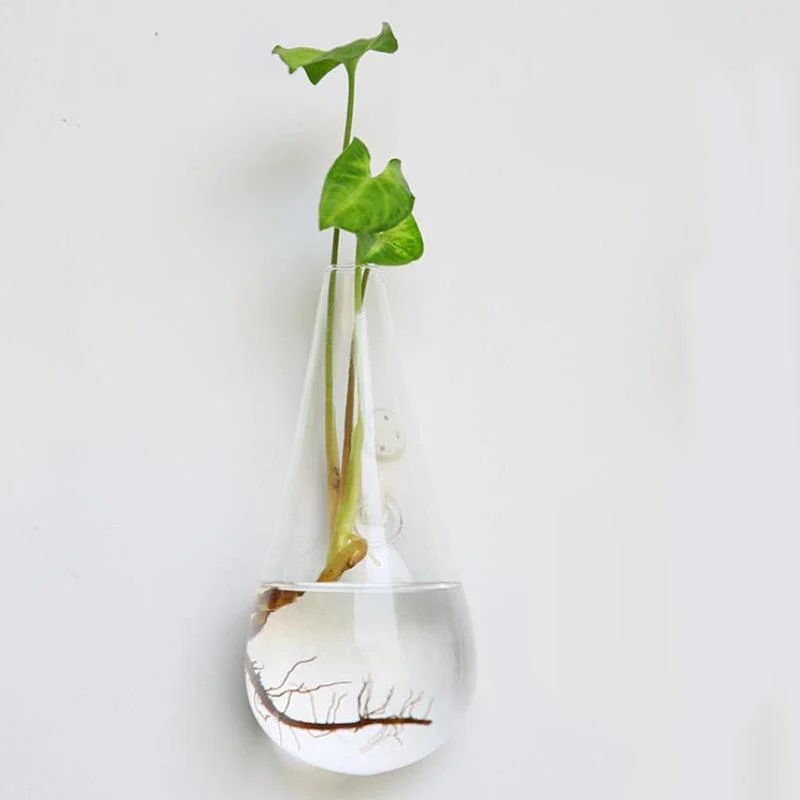 HangingGlassPlanterTerrarium-Homeko4 Hanging Glass Planter Terrarium - Homeko
