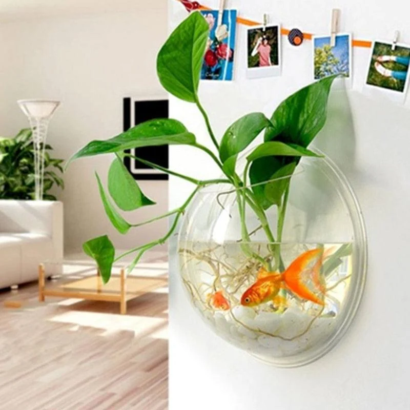HangingGlassPlanterTerrarium-Homeko5 Hanging Glass Planter Terrarium - Homeko