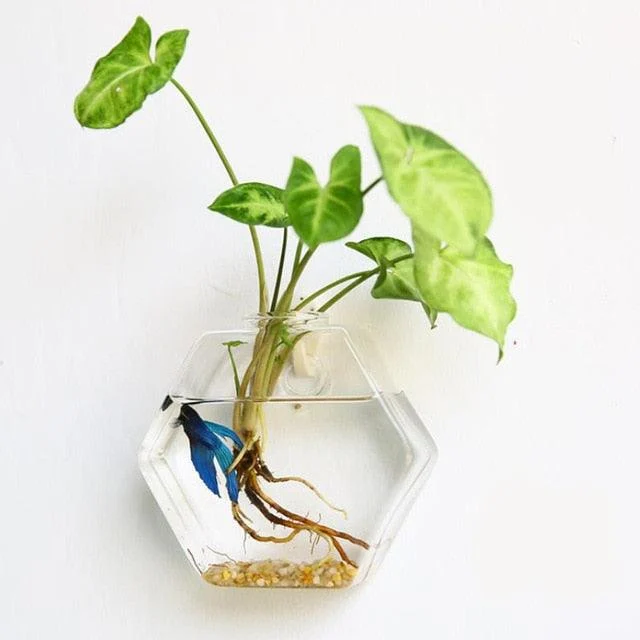 HangingGlassPlanterTerrarium-Homeko8 Hanging Glass Planter Terrarium - Homeko