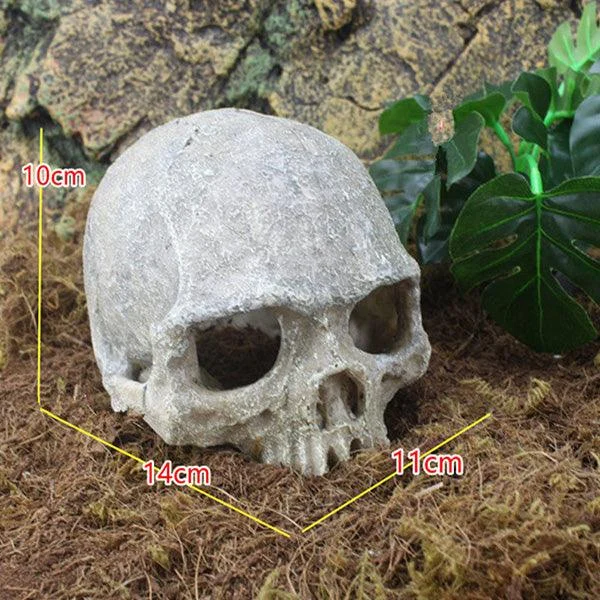 HeadBoneSkullOrnament-Homeko1 Head Bone Skull Ornament - Homeko