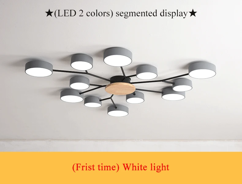 Nordic Contemporary Chandelier LED Ceiling Light Fixture