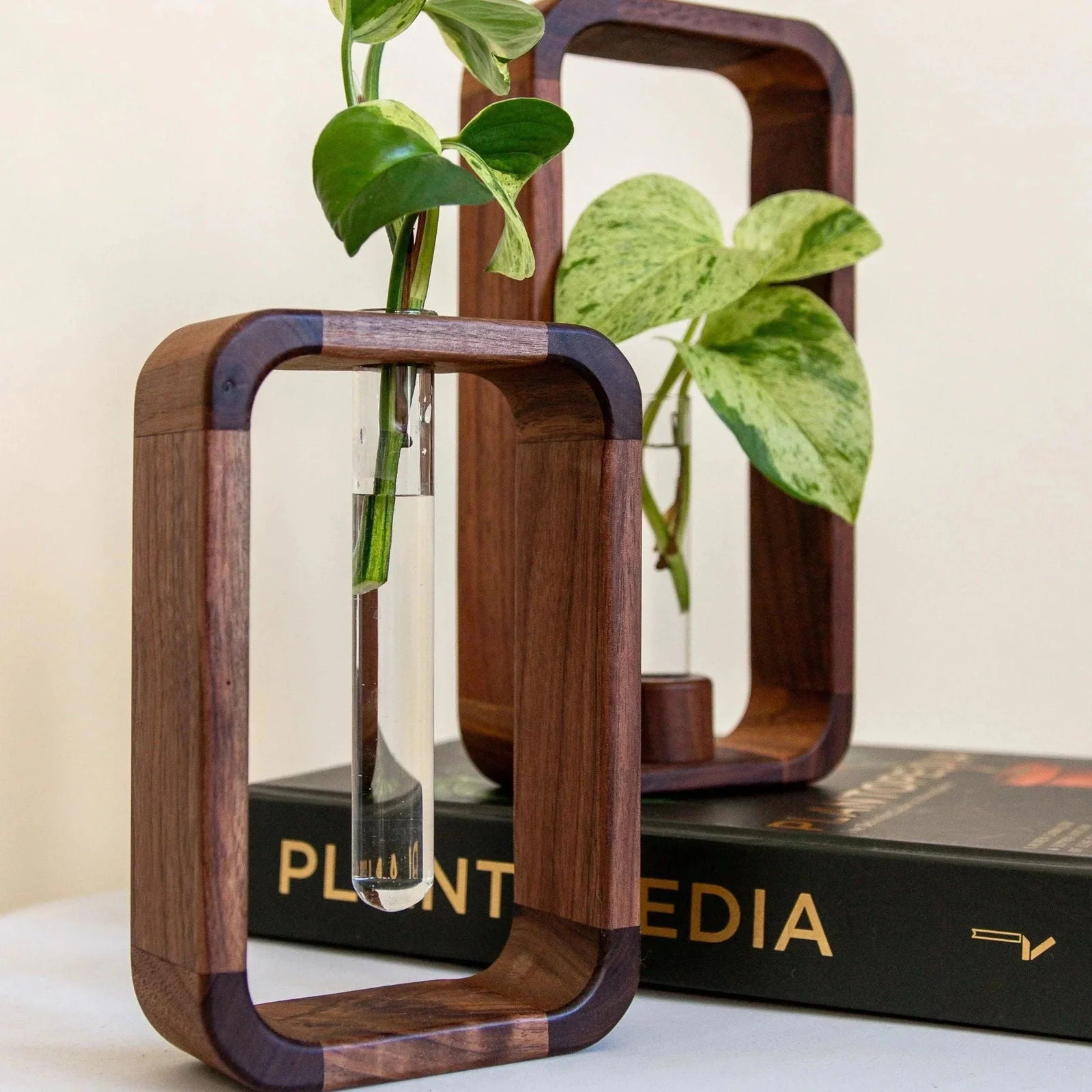 Hollow Plant Propagator -
