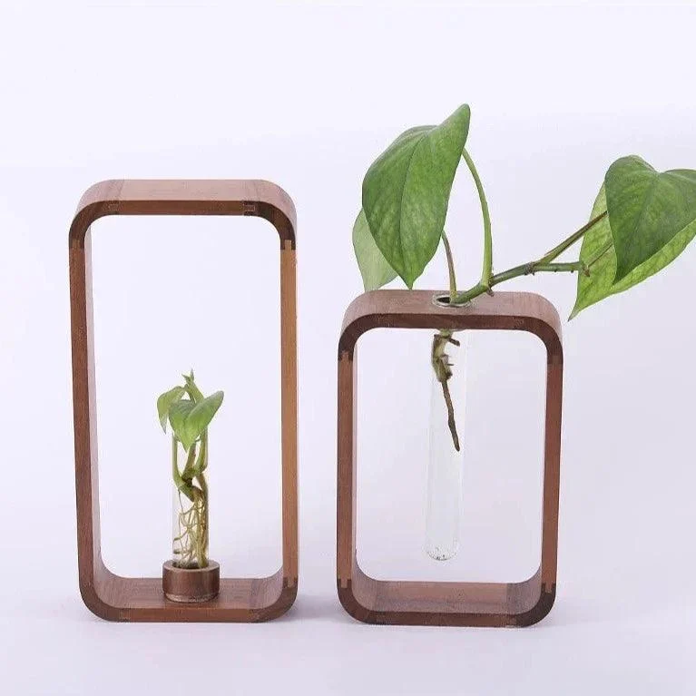 Hollow Plant Propagator -
