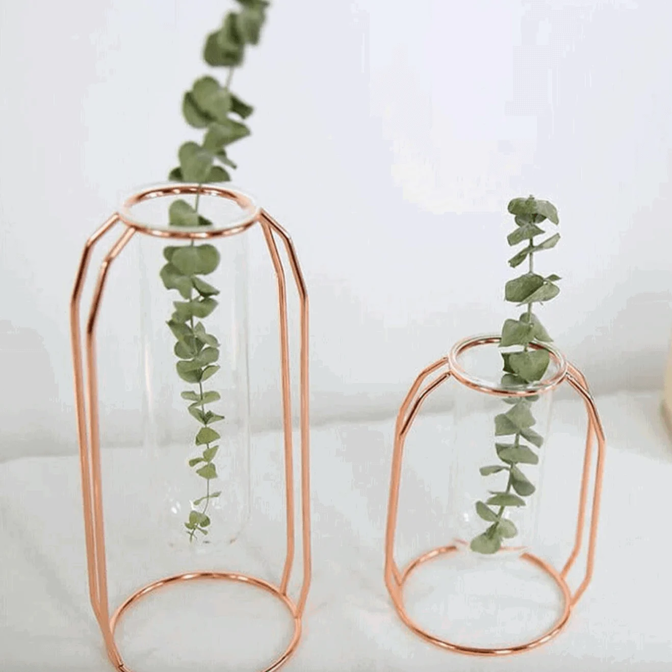 Hollow_Propagation_Stand_-_-4203545 Hollow Propagation Stand -